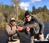 Yanive’s Steelhead Nov. 2012 – Copy