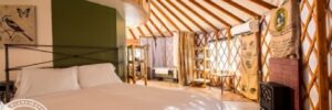 Yurt Interior for Glamping